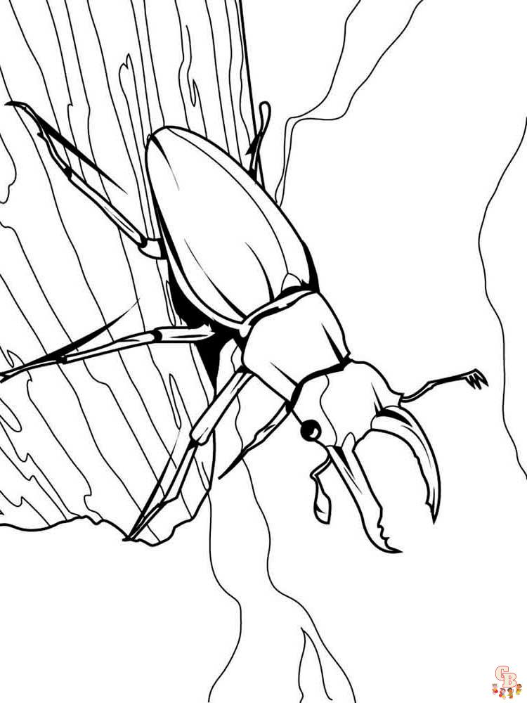 Insect Coloring Pages 34