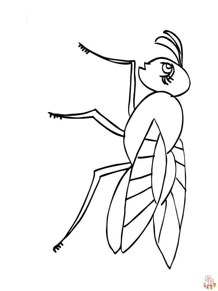 Insect Coloring Pages 37