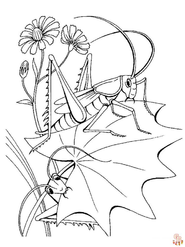 Insect Coloring Pages 39