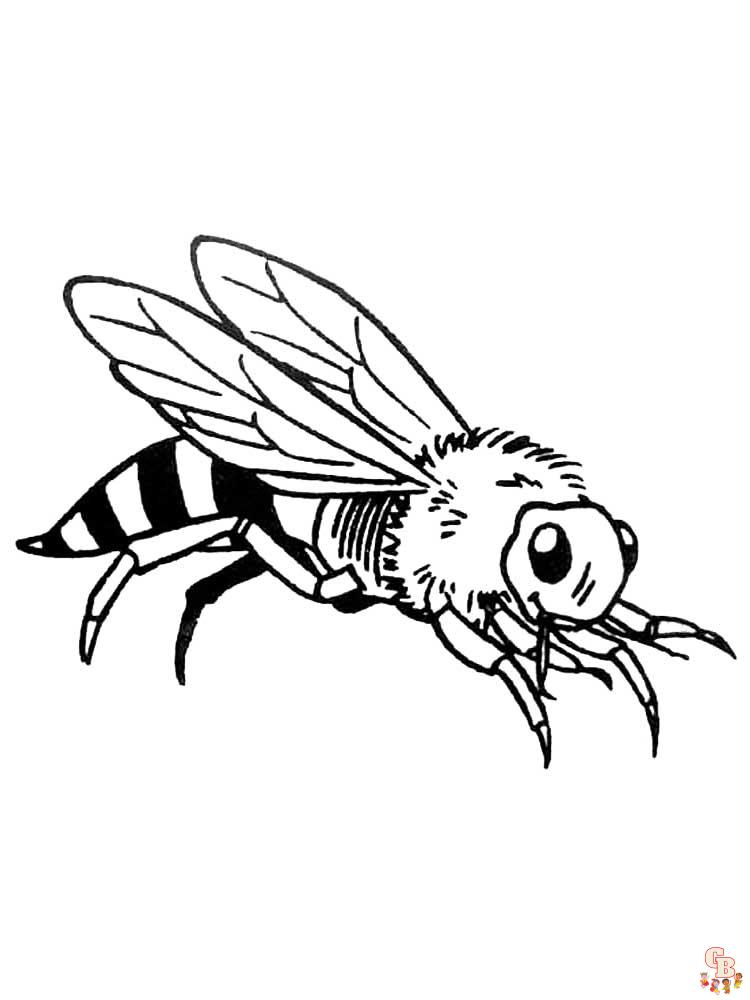 Insect Coloring Pages 40