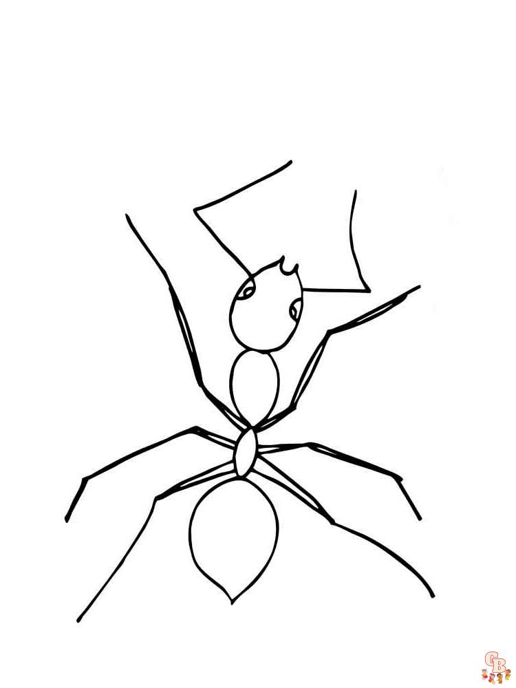 Insect Coloring Pages 44