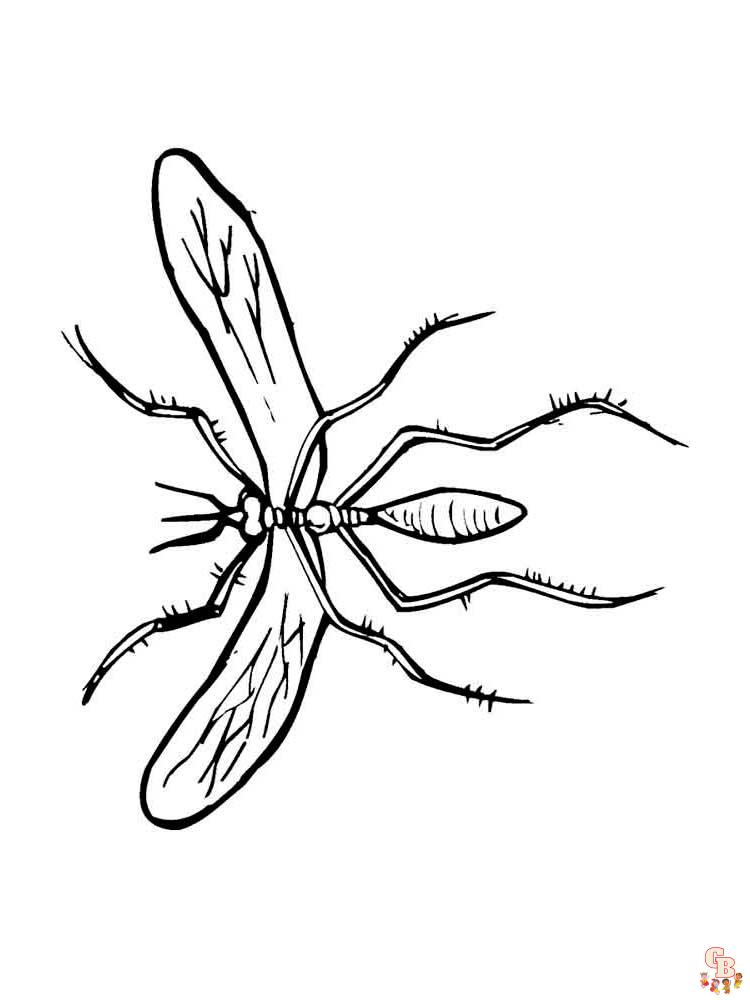 Insect Coloring Pages 46