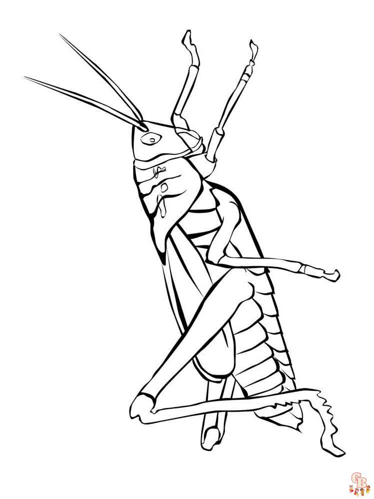 Insect Coloring Pages 47