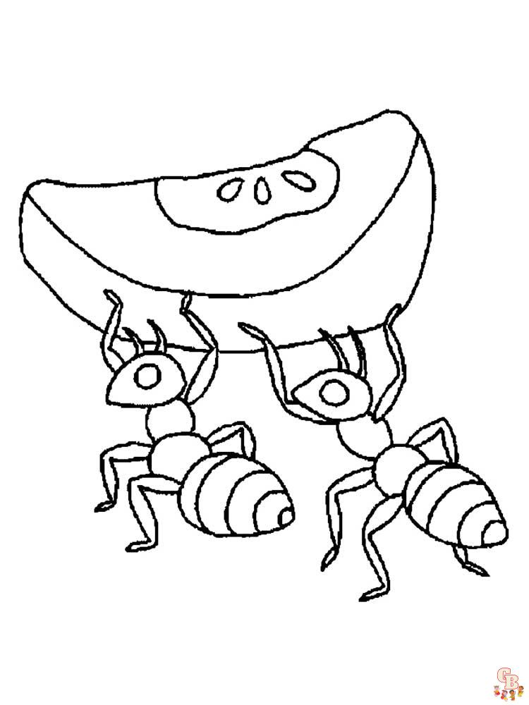 Insect Coloring Pages 48
