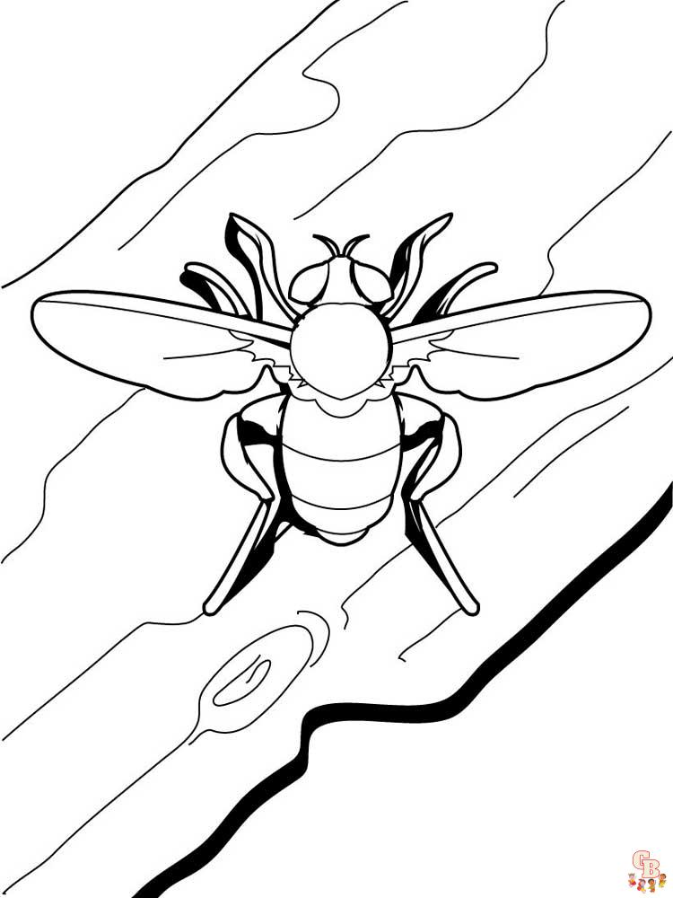 Insect Coloring Pages 51