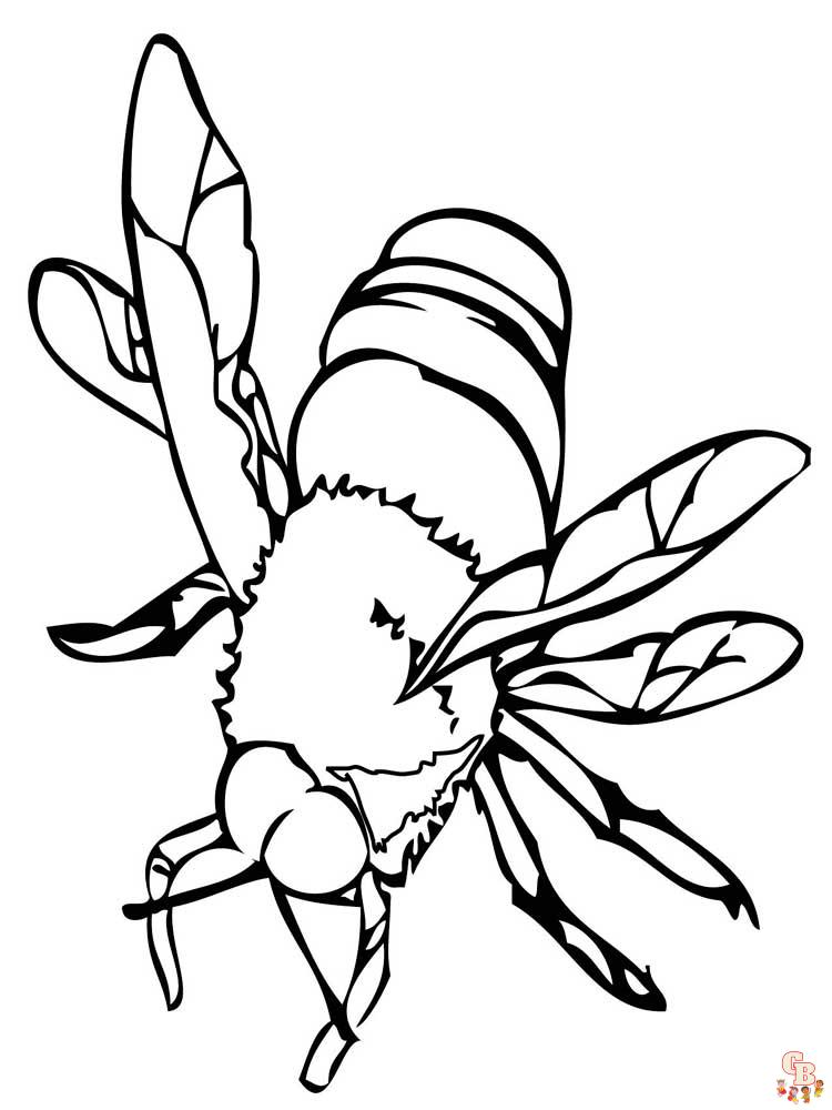 Insect Coloring Pages 8