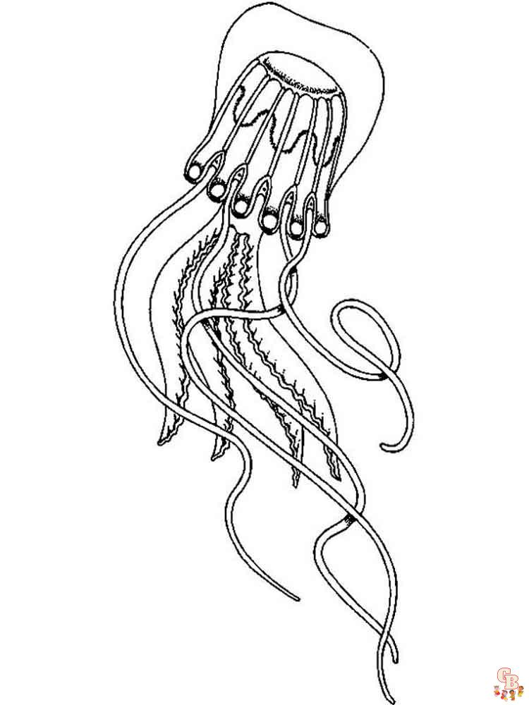 Jelly Fish Coloring Pages