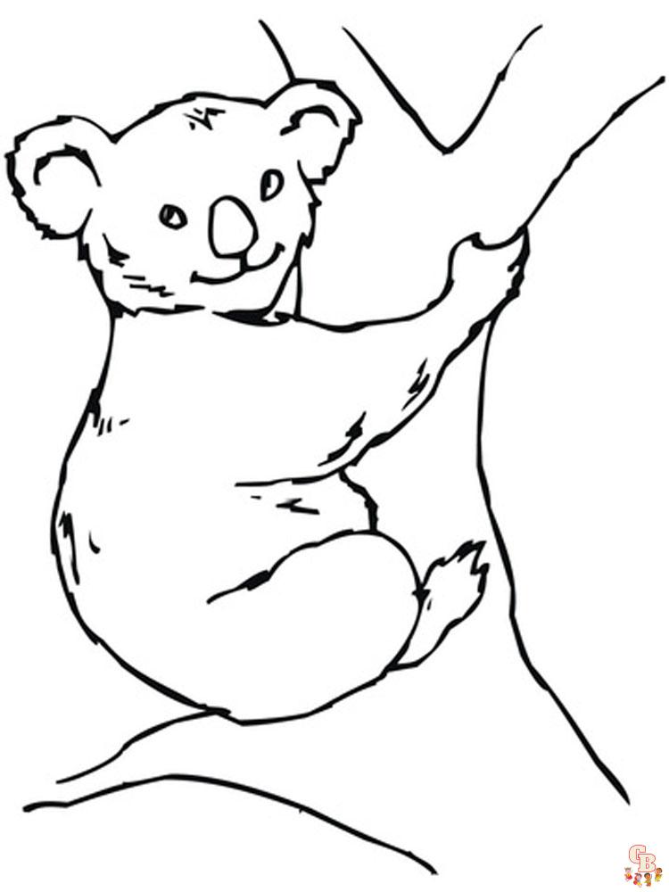 Koala Animal Coloring Pages 341