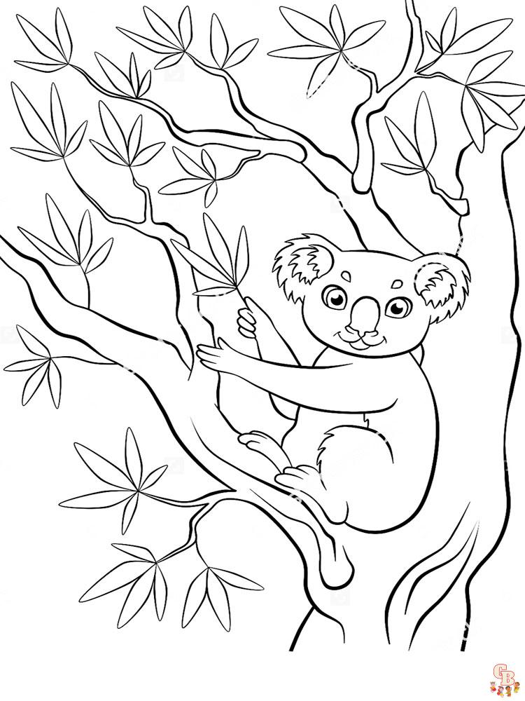 Koala Animal Coloring Pages 347