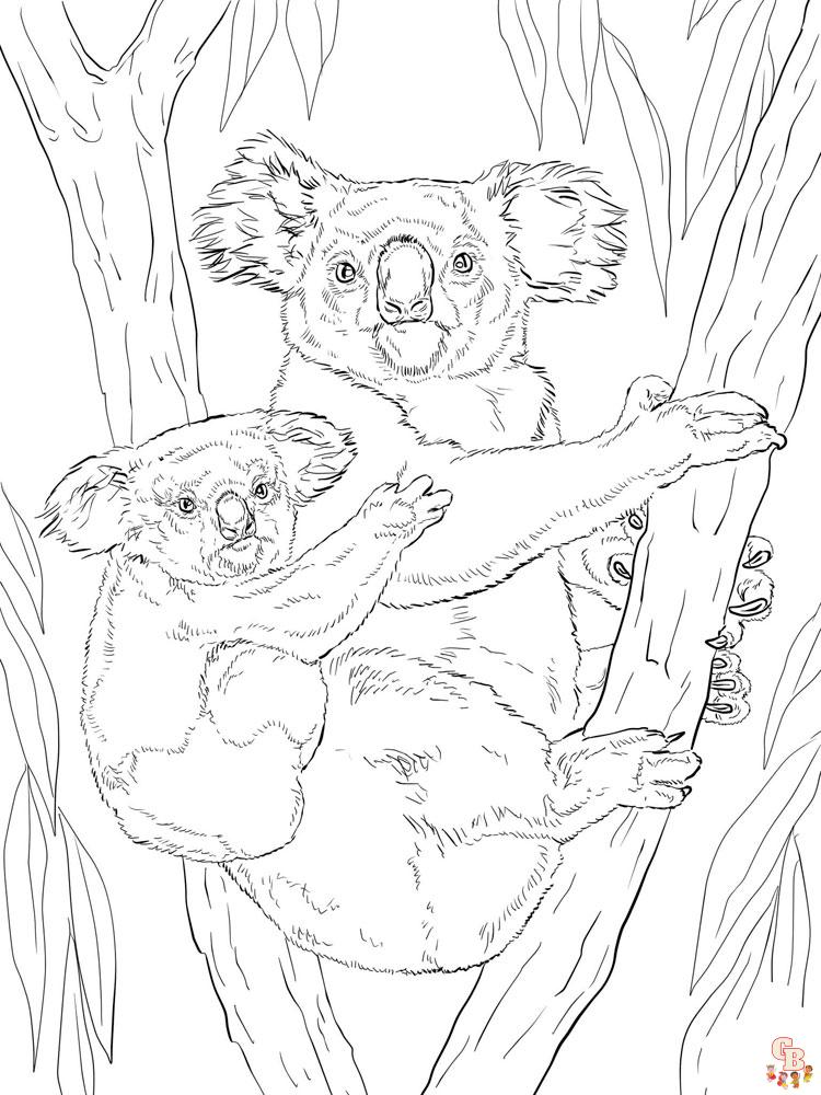 Koala Animal Coloring Pages 348