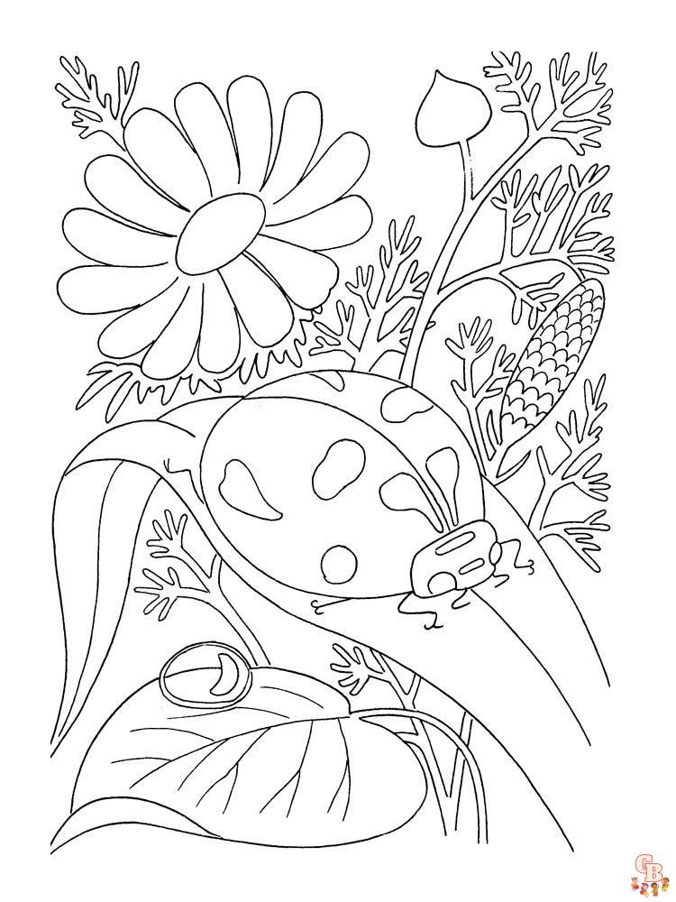 Ladybug Coloring Pages