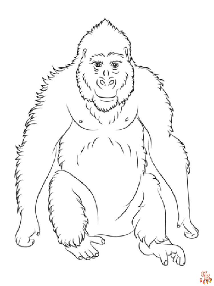 Monkey Animal Coloring Pages 353