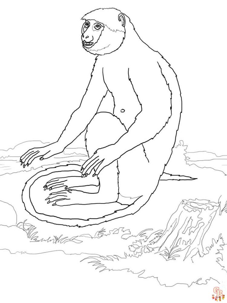 Monkey Animal Coloring Pages 355