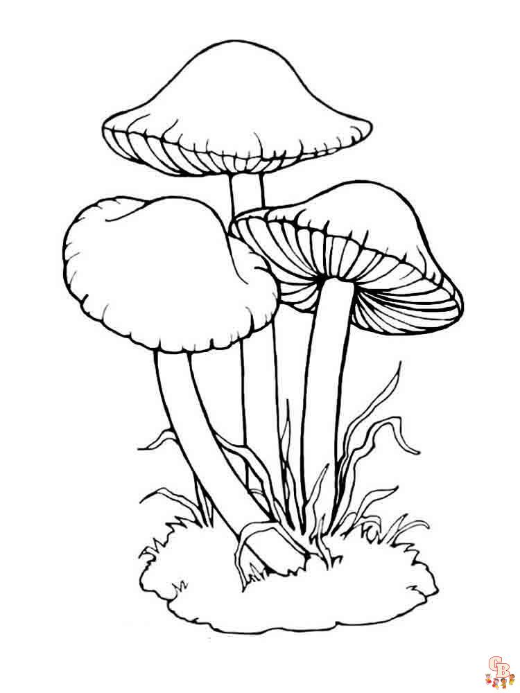 Mushrooms Coloring Pages