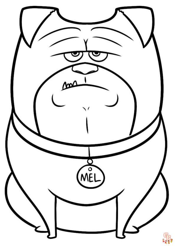 Pets Coloring Pages 14