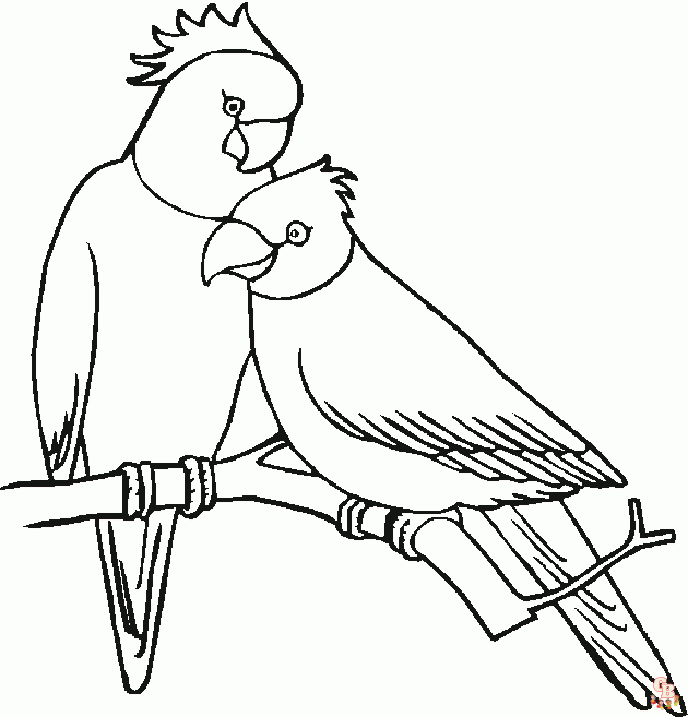 Pets Coloring Pages 4