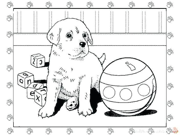 Pets Coloring Pages 4