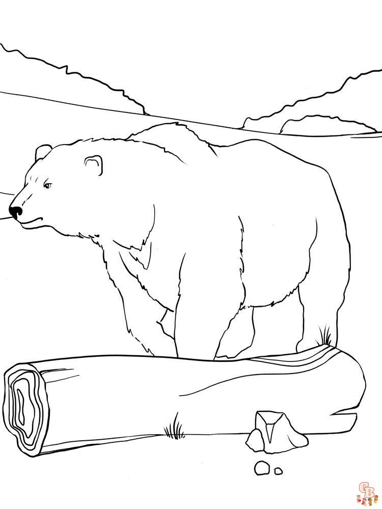 Polar Bear Coloring Pages