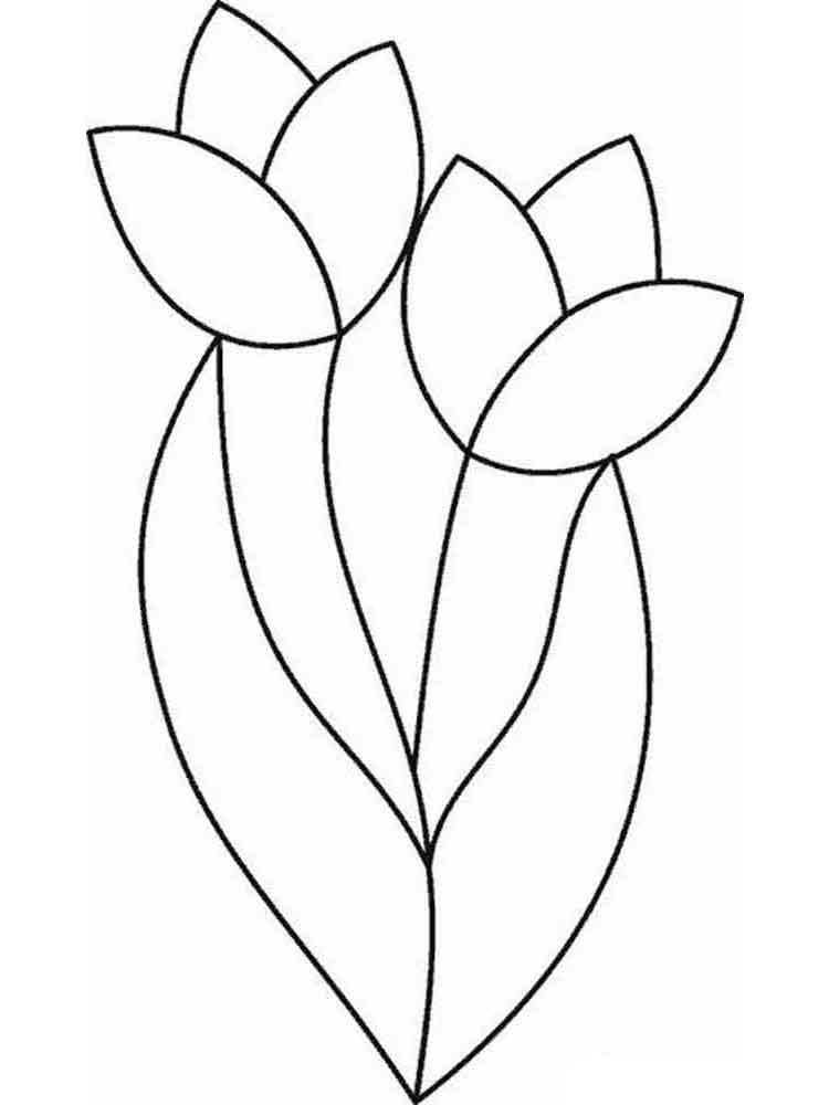 Tulip Coloring Pages
