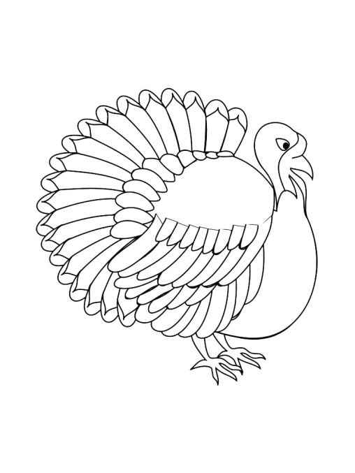 Enjoy Free Turkey Coloring Pages Printable and Have Fun