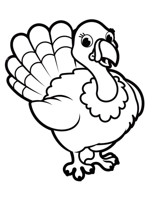 Enjoy Free Turkey Coloring Pages Printable and Have Fun