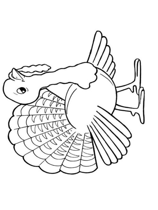 Enjoy Free Turkey Coloring Pages Printable and Have Fun