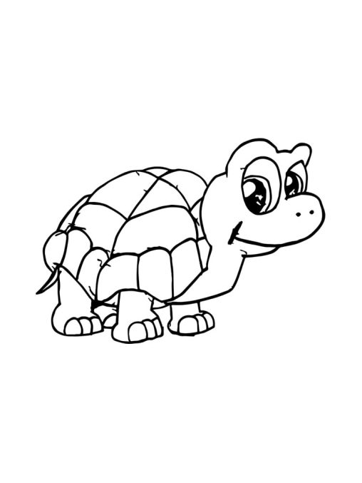 Turtle Coloring Pages - Free Printables for Kids