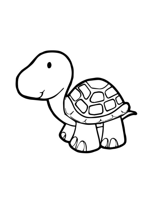 Turtle Coloring Pages - Free Printables for Kids