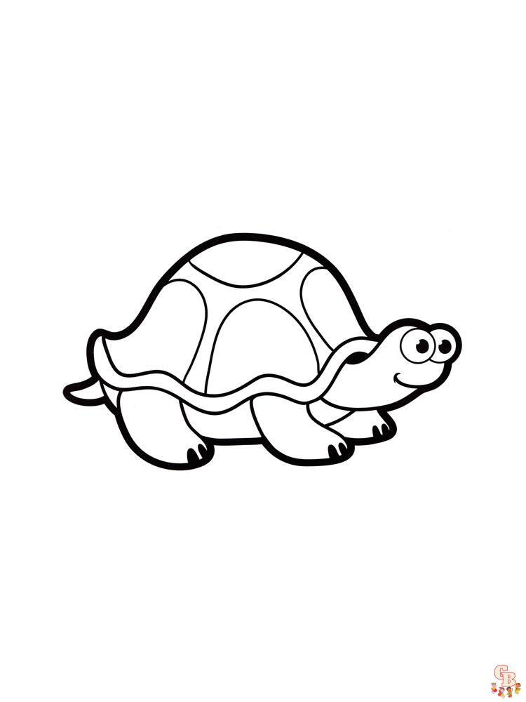 Turtle Coloring Pages - Free Printables For Kids