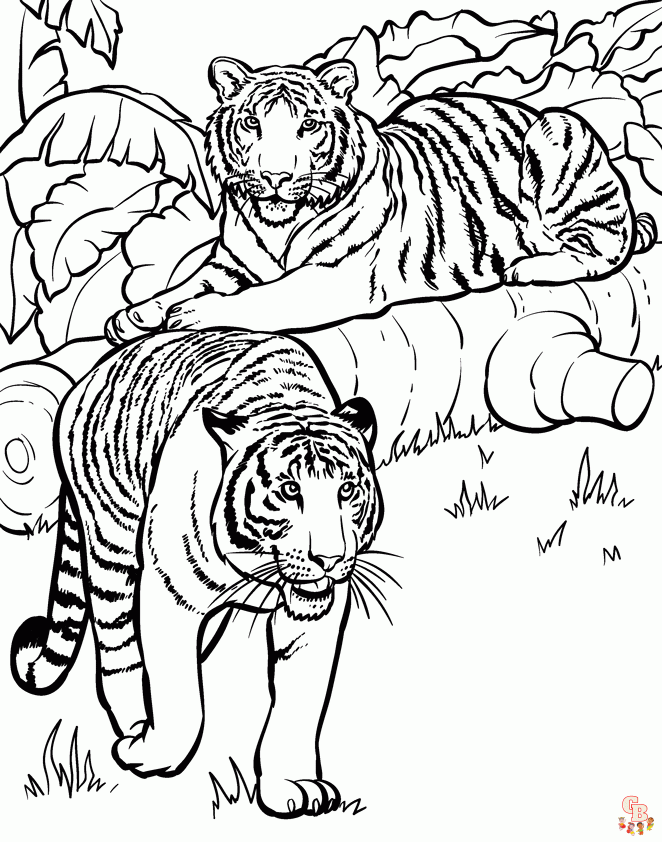 Wild Animals coloring pages 1