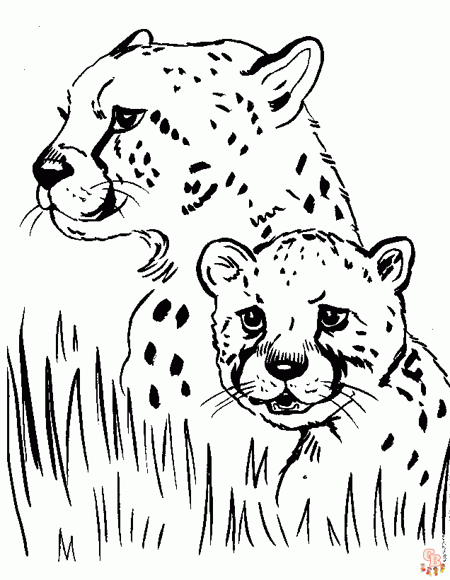 Wild Animals coloring pages 2