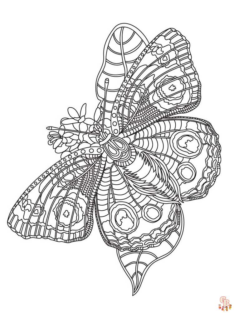 Zentangle Insect Coloring Pages 1