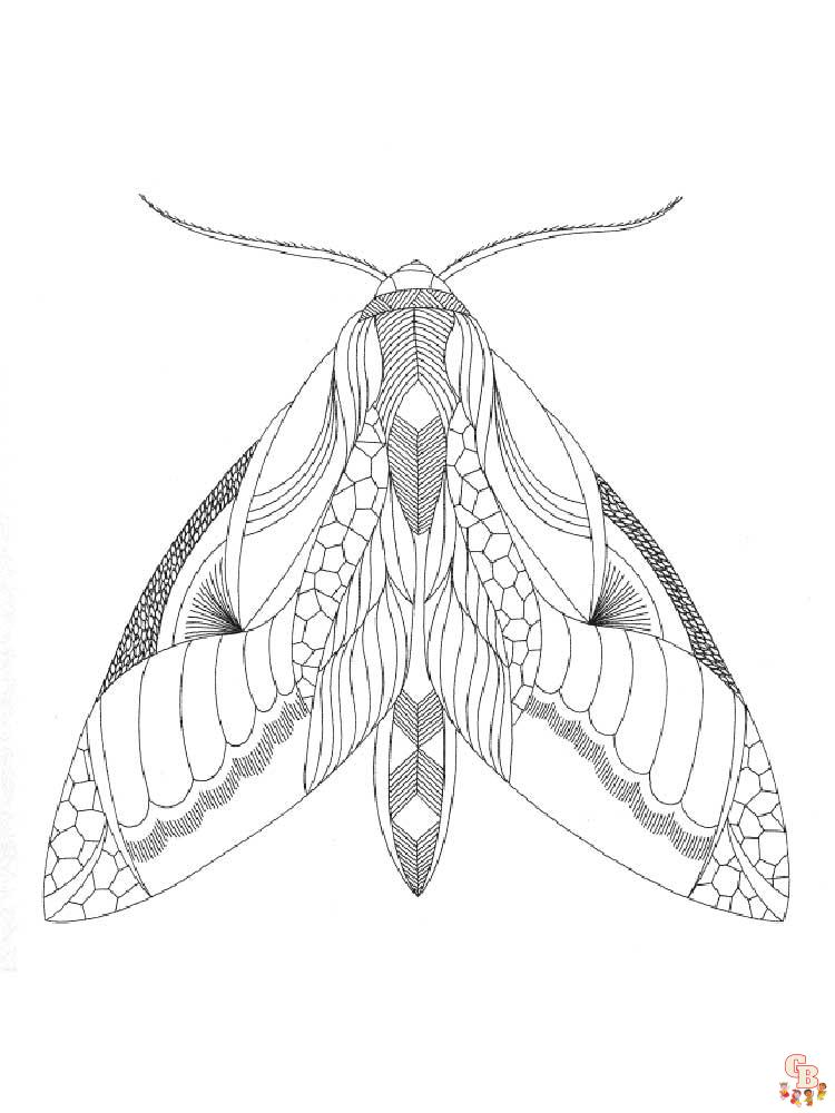 Zentangle Insect Coloring Pages 17