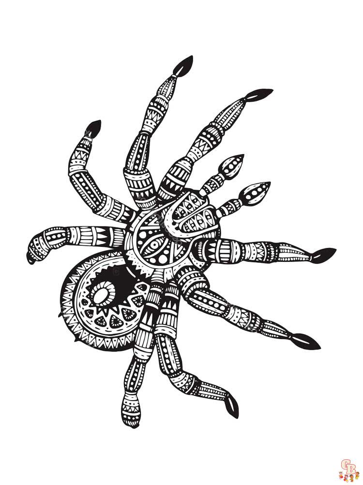 Zentangle Insect Coloring Pages 18