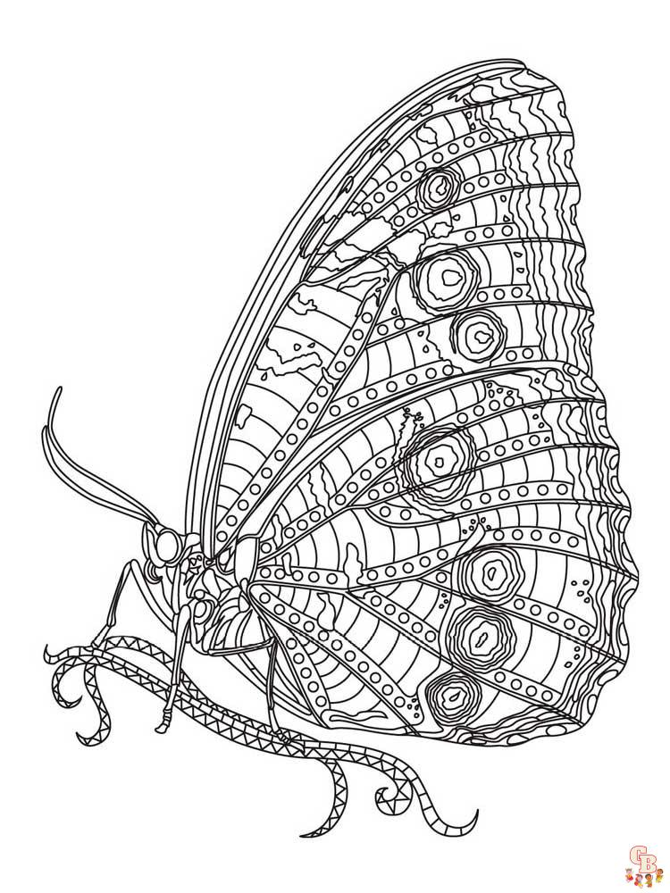 Zentangle Insect Coloring Pages 2