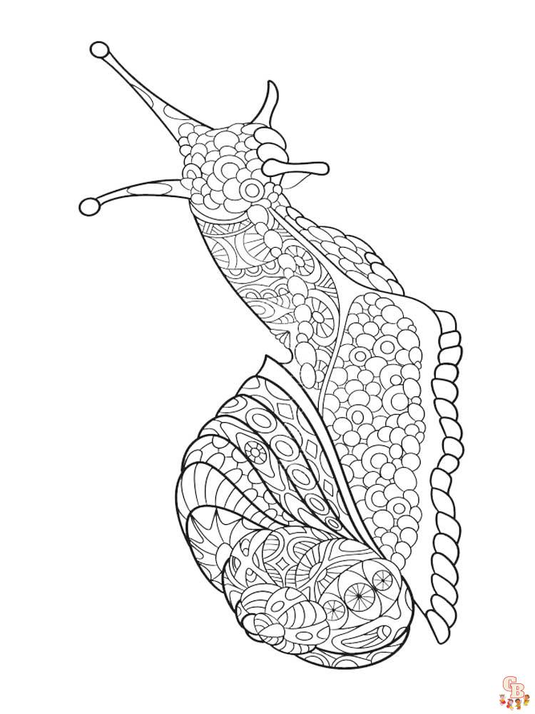 Zentangle Insect Coloring Pages 31