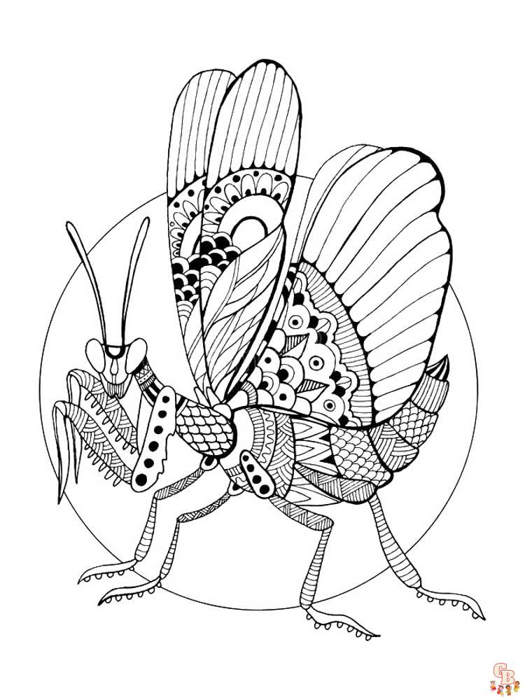 Zentangle Insect Coloring Pages 33