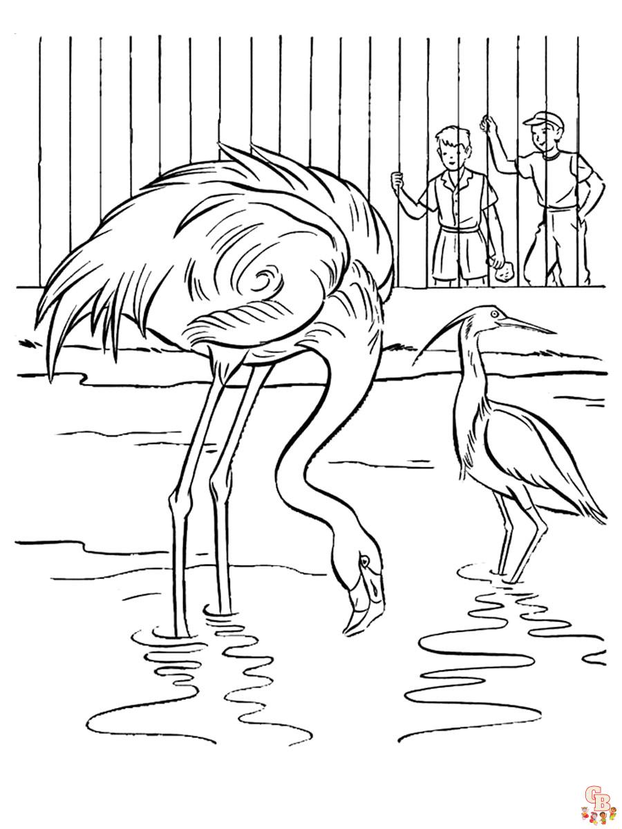 Zoo Coloring Pages 3