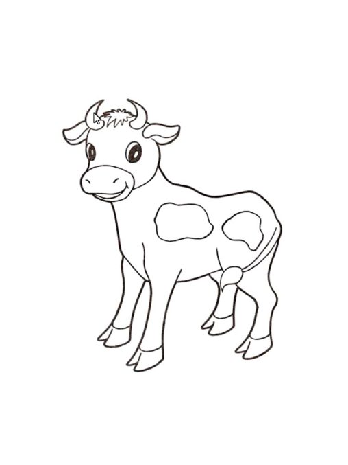 Fun & Easy Printable Cow Coloring Pages for Kids