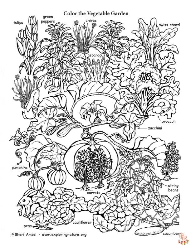 garden coloring pages 58