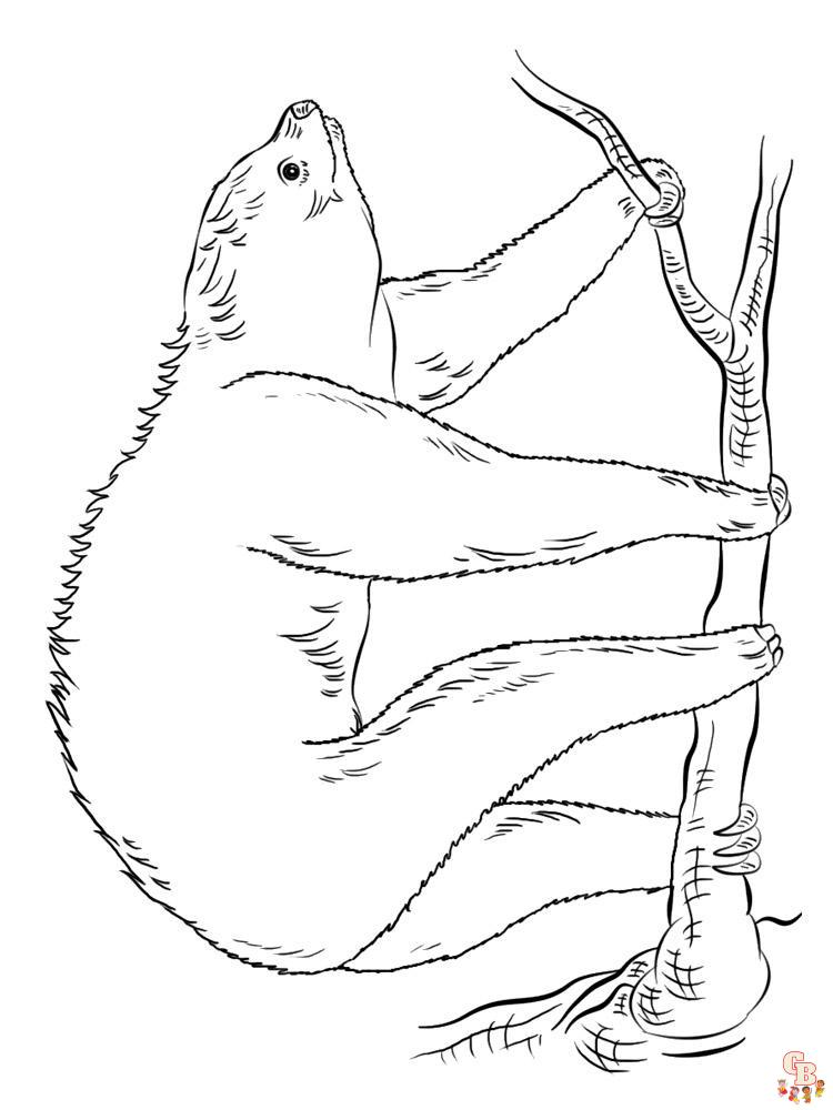 sloth coloring pages