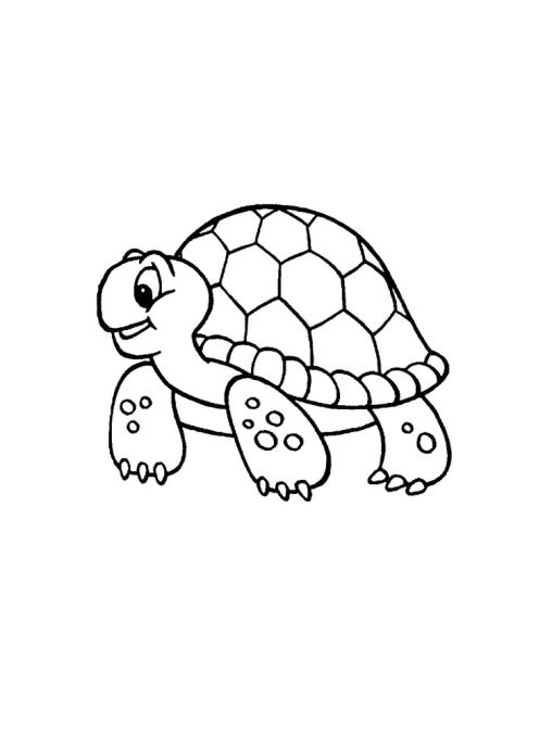 Turtle Coloring Pages - Free Printables for Kids