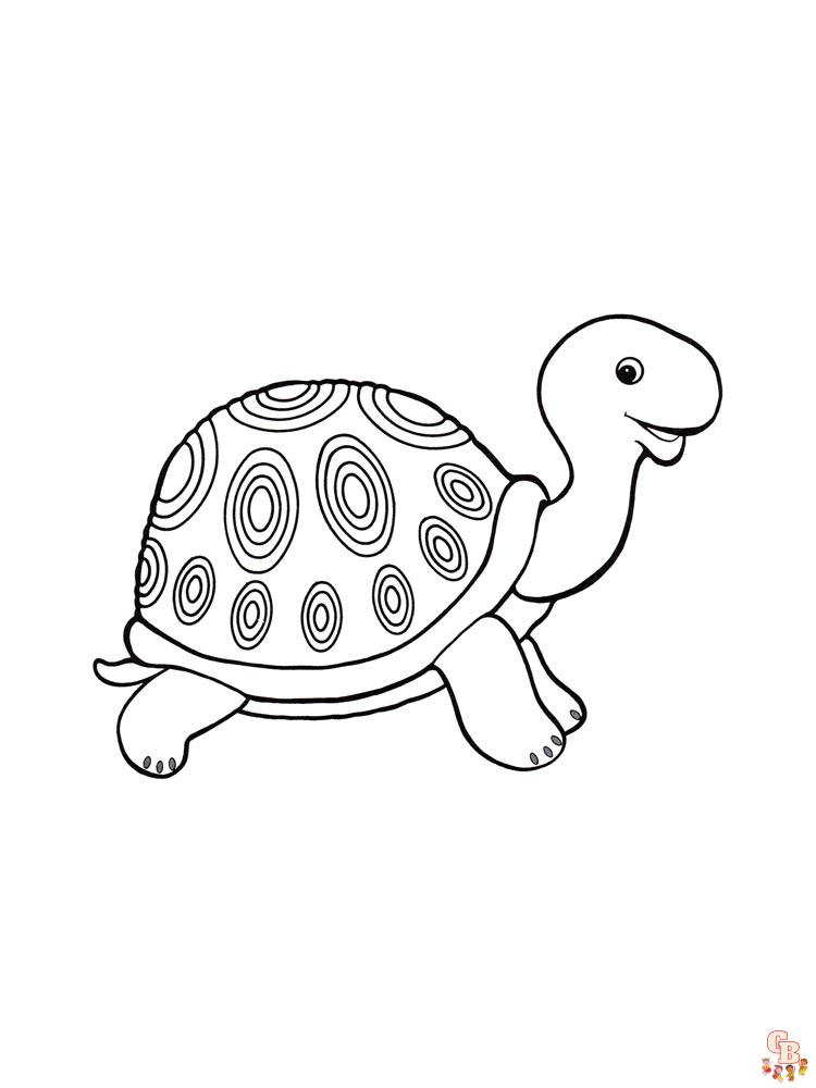 Turtles Coloring Pages