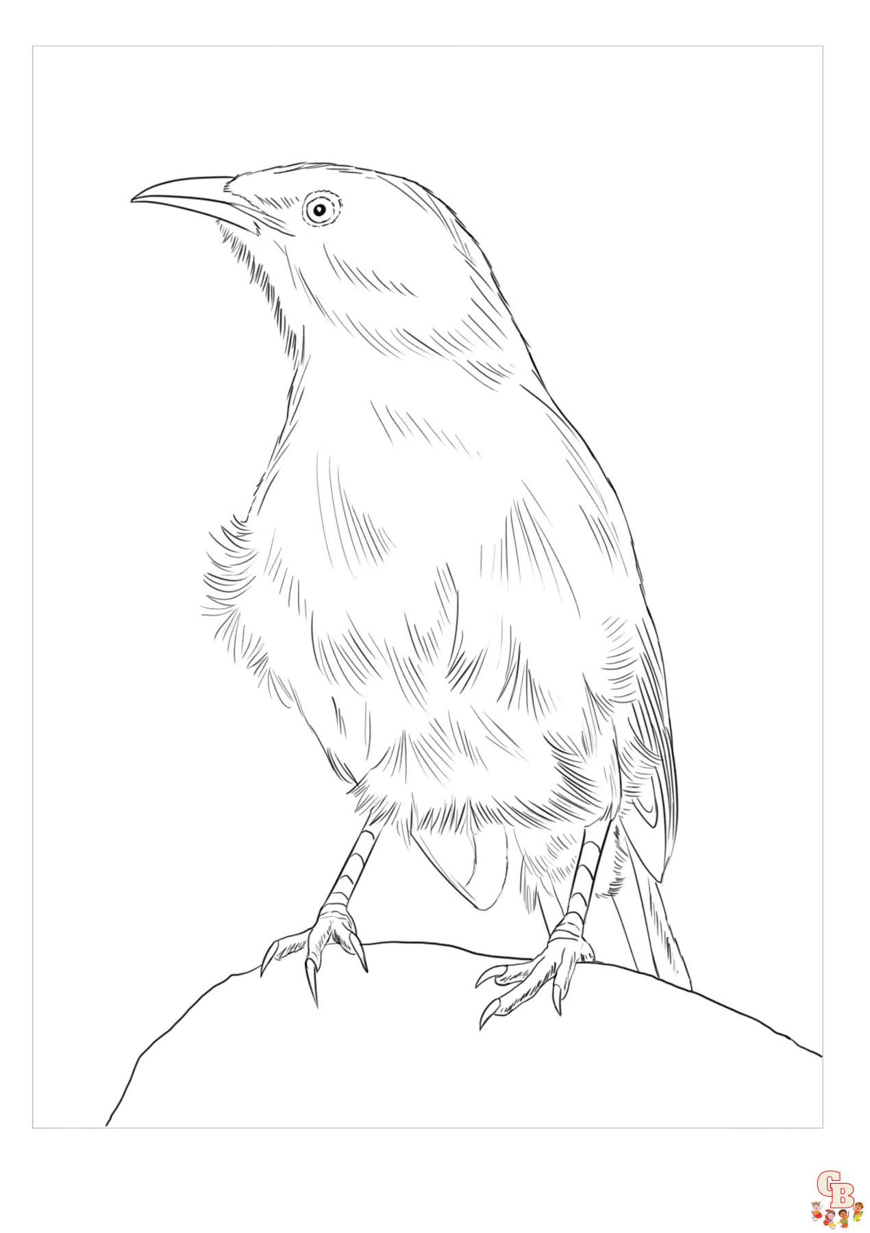 Babblers Coloring Pages 4