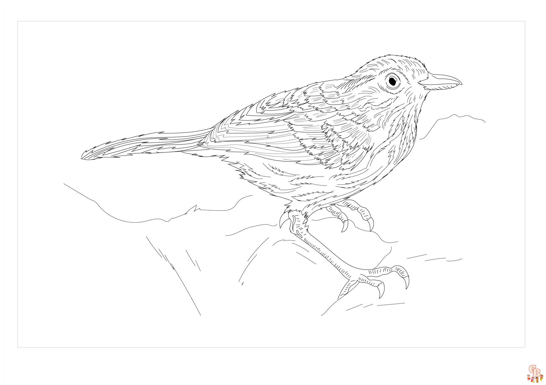Babblers Coloring Pages 6