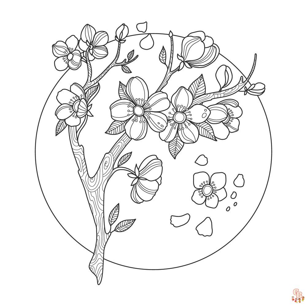 Blossom Coloring Pages 2