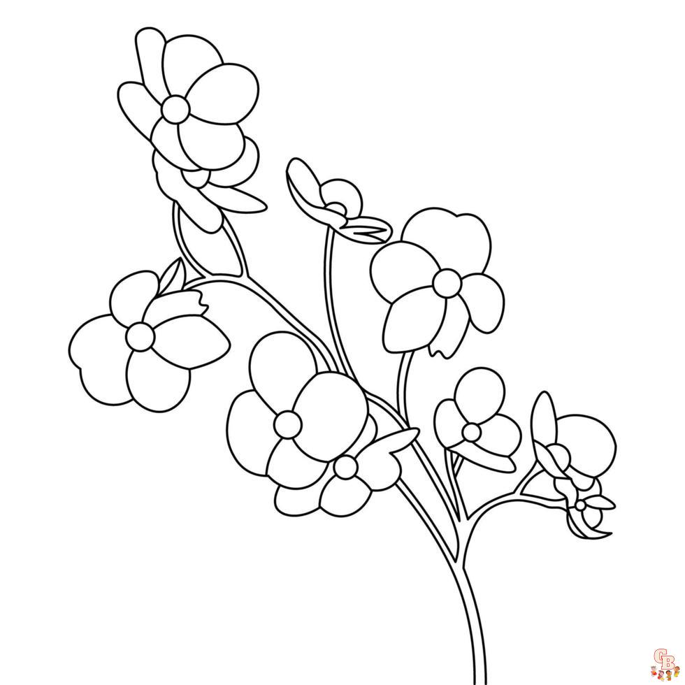 Blossom Coloring Pages 3