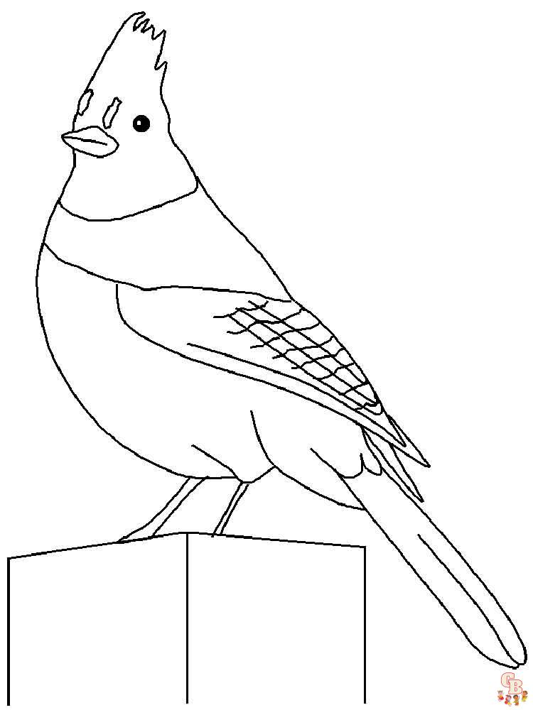 Blue Jay Coloring Pages 1