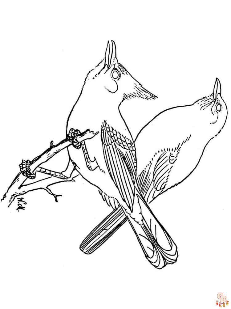 Blue Jay Coloring Pages 15