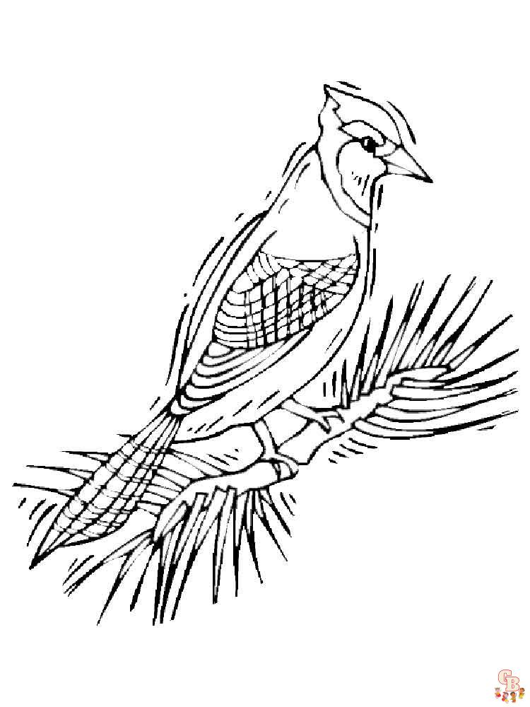 Blue Jay Bird coloring page, Free Printable Coloring Pages